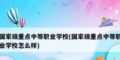 国家级重点中等职业学校(国家级重点中等职业学校怎么样)
