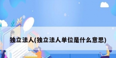 独立法人(独立法人单位是什么意思)