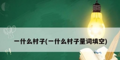 一什么村子(一什么村子量词填空)
