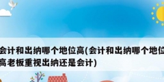 会计和出纳哪个地位高(会计和出纳哪个地位高老板重视出纳还是会计)