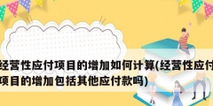 经营性应付项目的增加如何计算(经营性应付项目的增加包括其他应付款吗)
