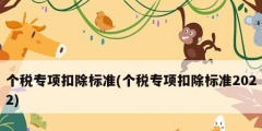 个税专项扣除标准(个税专项扣除标准2022)