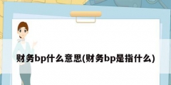 财务bp什么意思(财务bp是指什么)