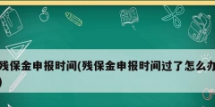 残保金申报时间(残保金申报时间过了怎么办)
