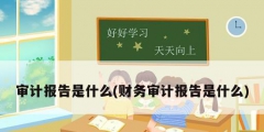 审计报告是什么(财务审计报告是什么)