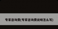 专家咨询费(专家咨询费说明怎么写)
