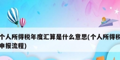 个人所得税年度汇算是什么意思(个人所得税申报流程)