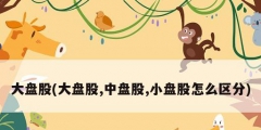 大盘股(大盘股,中盘股,小盘股怎么区分)