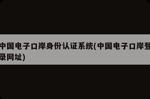 中国电子口岸身份认证系统(中国电子口岸登录网址)