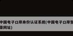 中国电子口岸身份认证系统(中国电子口岸登录网址)