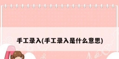 手工录入(手工录入是什么意思)