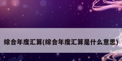 综合年度汇算(综合年度汇算是什么意思)