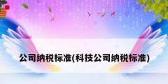 公司纳税标准(科技公司纳税标准)
