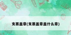支票盖章(支票盖章盖什么章)