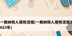 一般纳税人报税流程(一般纳税人报税流程2023年)