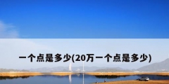 一个点是多少(20万一个点是多少)