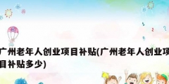 广州老年人创业项目补贴(广州老年人创业项目补贴多少)