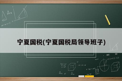 宁夏国税(宁夏国税局领导班子)