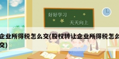企业所得税怎么交(股权转让企业所得税怎么交)