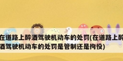 在道路上醉酒驾驶机动车的处罚(在道路上醉酒驾驶机动车的处罚是管制还是拘役)
