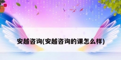 安越咨询(安越咨询的课怎么样)