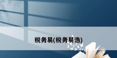 税务易(税务易浩)