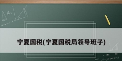 宁夏国税(宁夏国税局领导班子)