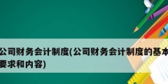 公司财务会计制度(公司财务会计制度的基本要求和内容)