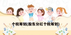 个税筹划(股东分红个税筹划)