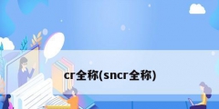 cr全称(sncr全称)