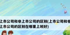 上市公司和非上市公司的区别(上市公司和非上市公司的区别在哪里上班好)