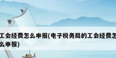 工会经费怎么申报(电子税务局的工会经费怎么申报)