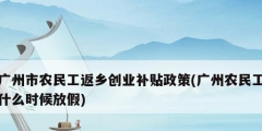 广州市农民工返乡创业补贴政策(广州农民工什么时候放假)