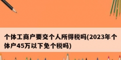 个体工商户要交个人所得税吗(2023年个体户45万以下免个税吗)