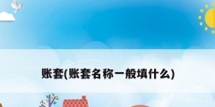 账套(账套名称一般填什么)