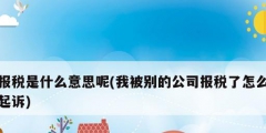报税是什么意思呢(我被别的公司报税了怎么起诉)