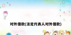 对外借款(法定代表人对外借款)