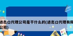 进出口代理公司是干什么的(进出口代理有限公司)
