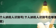 个人纳税人识别号(个人纳税人识别号在哪里查)