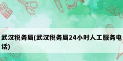 武汉税务局(武汉税务局24小时人工服务电话)