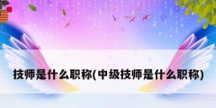 技师是什么职称(中级技师是什么职称)