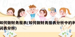 如何做财务报表(如何做财务报表分析中的利润表分析)