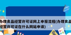 办理食品经营许可证网上申报流程(办理食品经营许可证在什么网站申请)