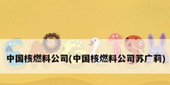 中国核燃料公司(中国核燃料公司苏广莉)