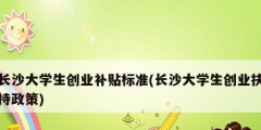 长沙大学生创业补贴标准(长沙大学生创业扶持政策)