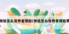 微信怎么交养老保险(微信怎么交养老保险费)