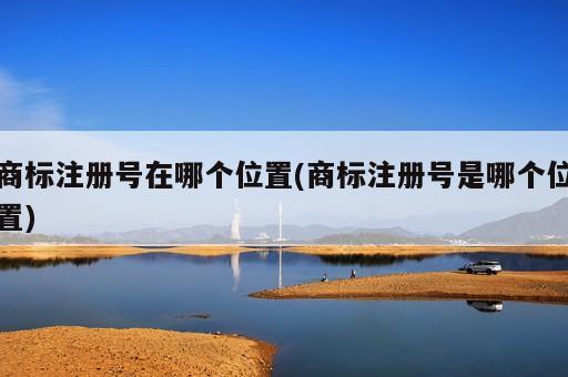 商标注册号在哪个位置(商标注册号是哪个位置)