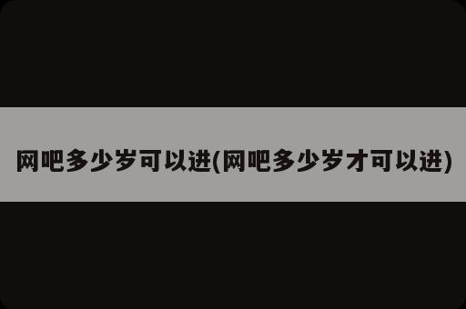 网吧多少岁可以进(网吧多少岁才可以进)