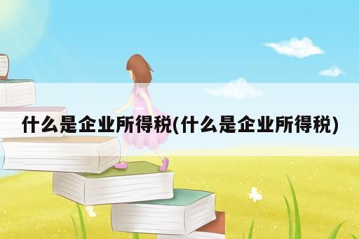 什么是企业所得税(什么是企业所得税)