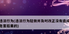 违法行为(违法行为轻微并及时改正没有造成危害后果的)